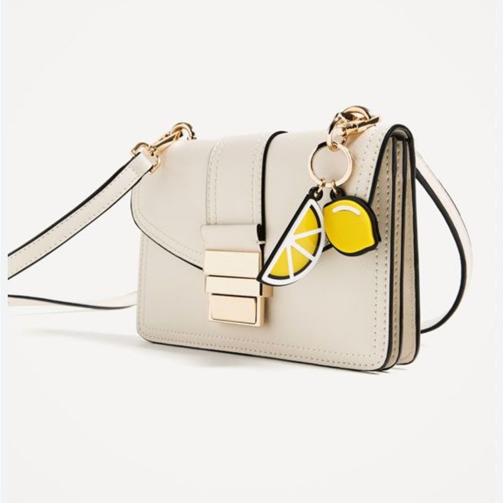 Zara Crossbody Clutch with Gold Hardware